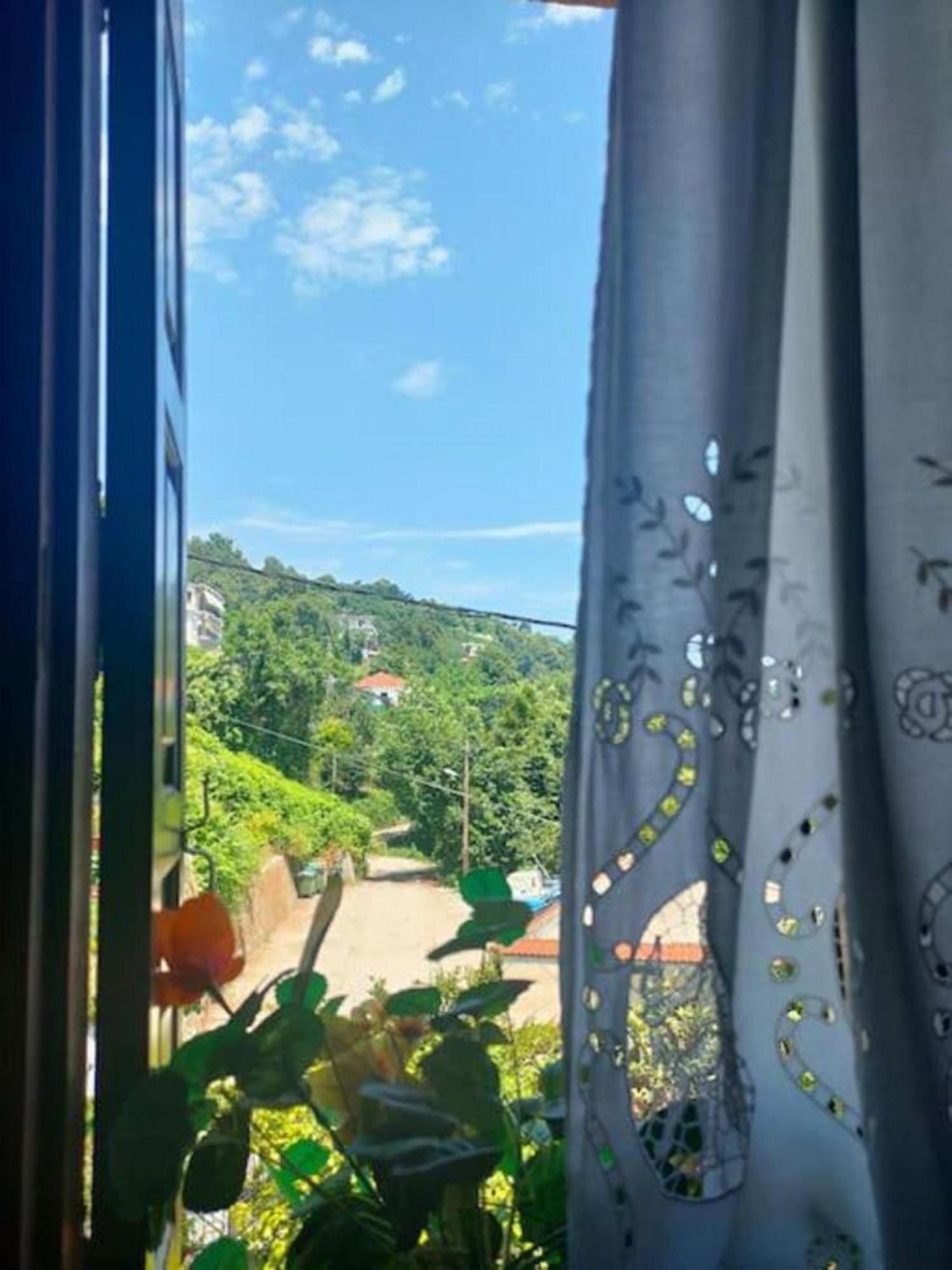 Appartamento Hara'S House Pelion Makrirrákhi Esterno foto