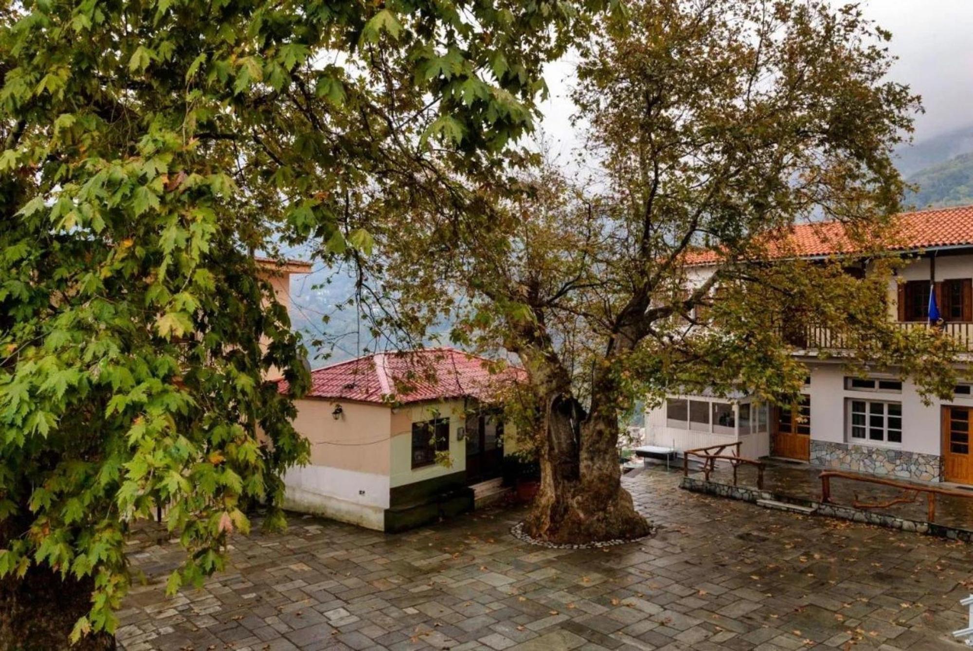 Appartamento Hara'S House Pelion Makrirrákhi Esterno foto