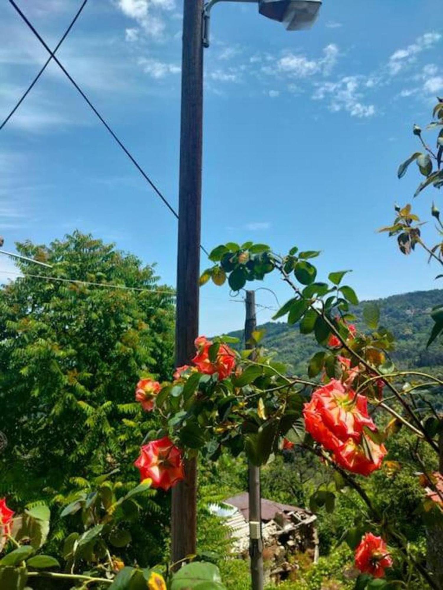Appartamento Hara'S House Pelion Makrirrákhi Esterno foto