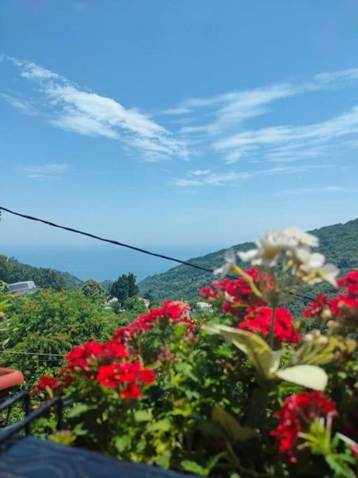 Appartamento Hara'S House Pelion Makrirrákhi Esterno foto