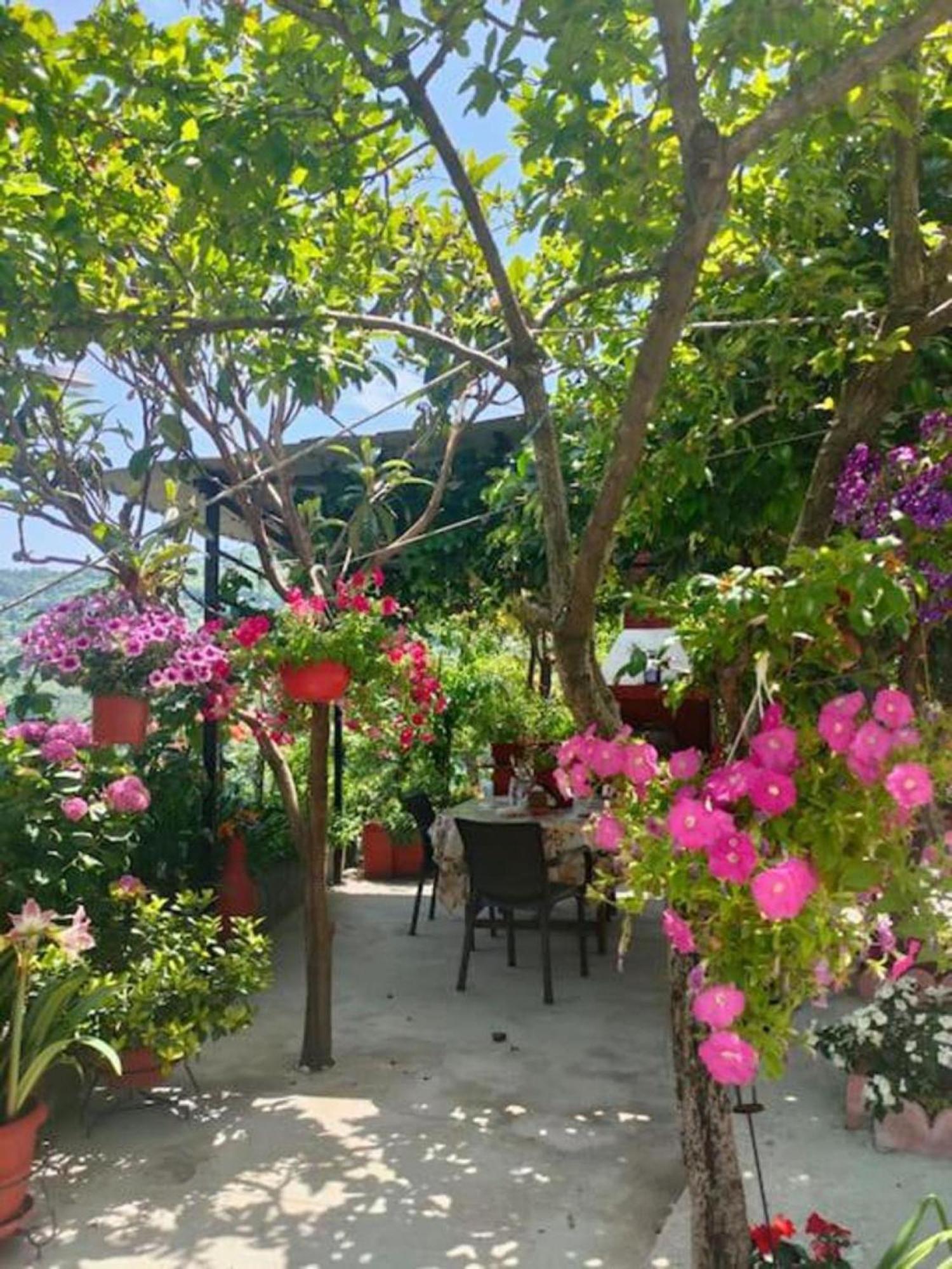 Appartamento Hara'S House Pelion Makrirrákhi Esterno foto